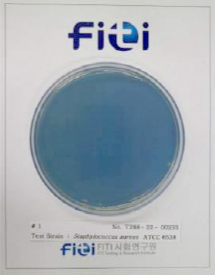 Staphylococcus