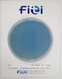 Klebsiella pneumoniae